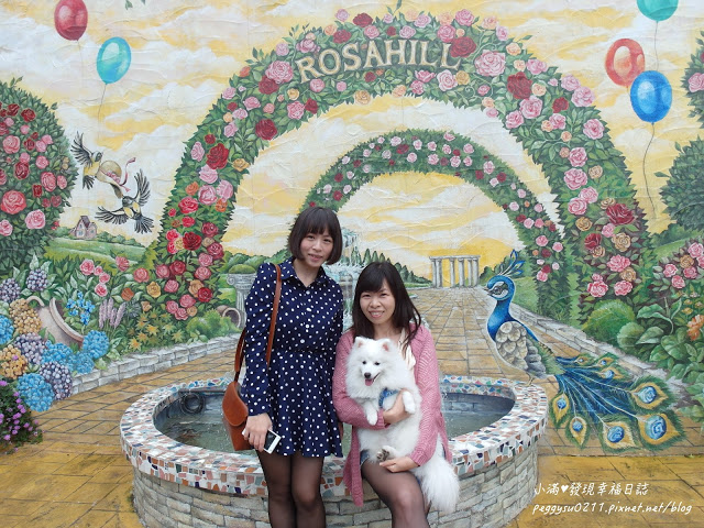 (雲林景點) 蘿莎玫瑰莊園Rosahill ❤ 古坑必遊!免入園費千株玫瑰芬芳滿園童話般的夢幻世界