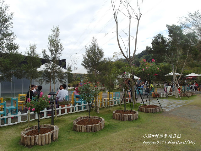 (雲林景點) 蘿莎玫瑰莊園Rosahill ❤ 古坑必遊!免入園費千株玫瑰芬芳滿園童話般的夢幻世界