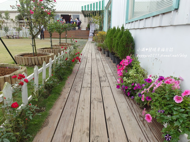 (雲林景點) 蘿莎玫瑰莊園Rosahill ❤ 古坑必遊!免入園費千株玫瑰芬芳滿園童話般的夢幻世界