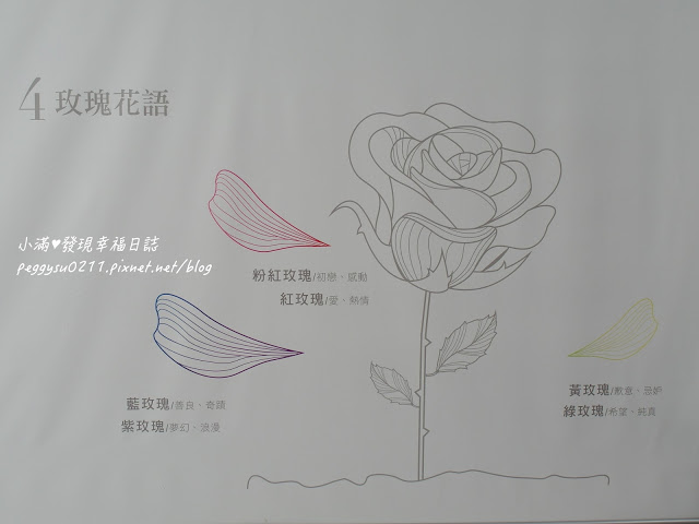 (雲林景點) 蘿莎玫瑰莊園Rosahill ❤ 古坑必遊!免入園費千株玫瑰芬芳滿園童話般的夢幻世界