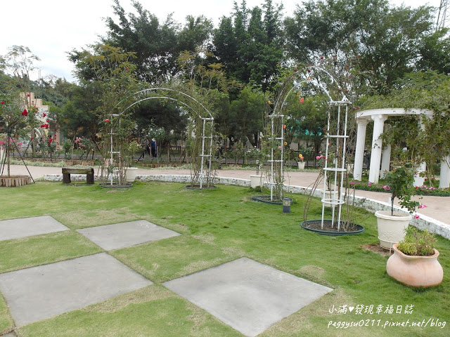 (雲林景點) 蘿莎玫瑰莊園Rosahill ❤ 古坑必遊!免入園費千株玫瑰芬芳滿園童話般的夢幻世界