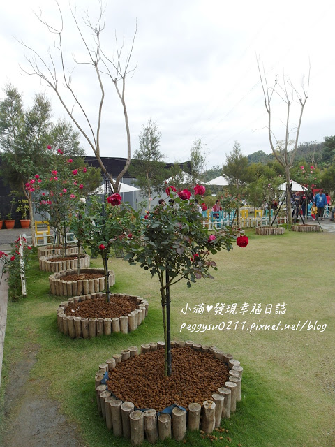 (雲林景點) 蘿莎玫瑰莊園Rosahill ❤ 古坑必遊!免入園費千株玫瑰芬芳滿園童話般的夢幻世界