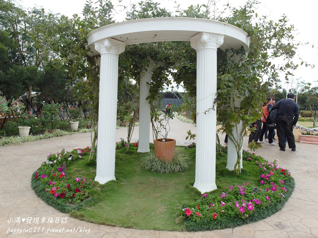 (雲林景點) 蘿莎玫瑰莊園Rosahill ❤ 古坑必遊!免入園費千株玫瑰芬芳滿園童話般的夢幻世界