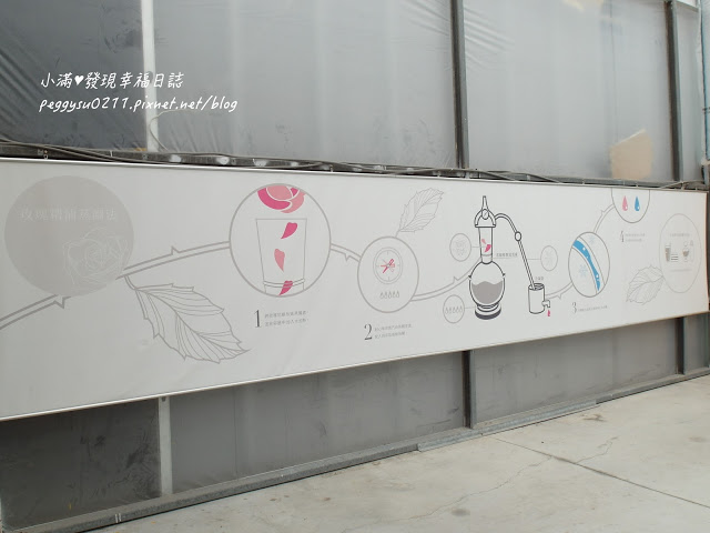 (雲林景點) 蘿莎玫瑰莊園Rosahill ❤ 古坑必遊!免入園費千株玫瑰芬芳滿園童話般的夢幻世界