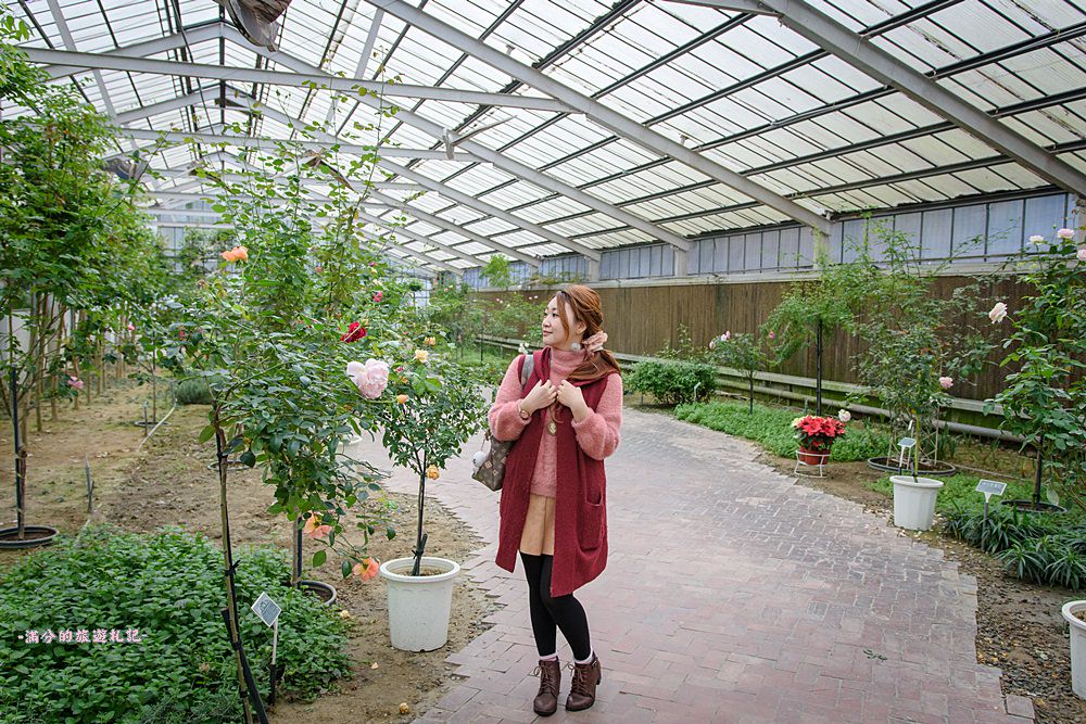 雲林古坑景點》蘿莎玫瑰莊園 免門票景點 南台灣最浪漫的雙心花園 情侶約會必訪 - 滿分的旅遊札記