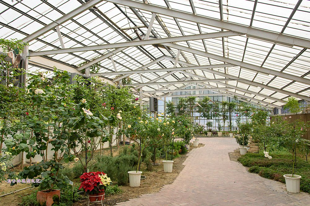 雲林古坑景點》蘿莎玫瑰莊園 免門票景點 南台灣最浪漫的雙心花園 情侶約會必訪 - 滿分的旅遊札記