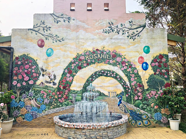 【雲林 古坑】Rosahill 蘿莎玫瑰山莊🌹🌹🌹免費觀光景點,內附停車場,玫瑰花大爆棚,園區充滿浪漫氛圍,假日來這裡走走,很是舒服💗