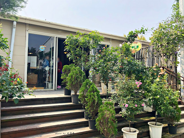 【雲林 古坑】Rosahill 蘿莎玫瑰山莊🌹🌹🌹免費觀光景點,內附停車場,玫瑰花大爆棚,園區充滿浪漫氛圍,假日來這裡走走,很是舒服💗