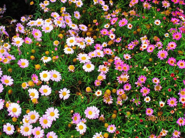 IMG_7266 (1024x768).jpg