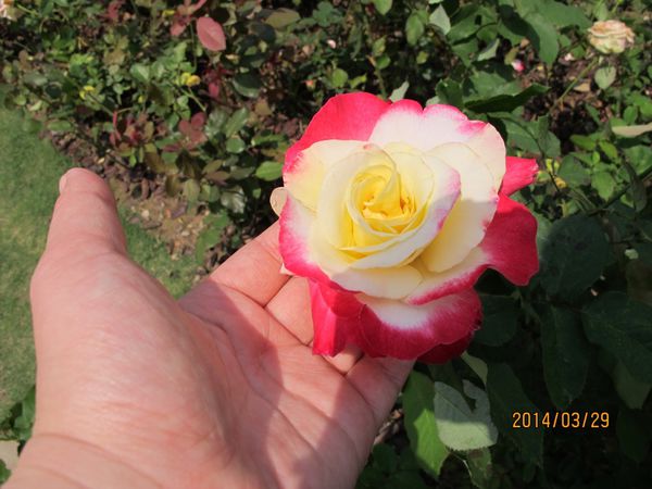 IMG_7263 (1024x768).jpg