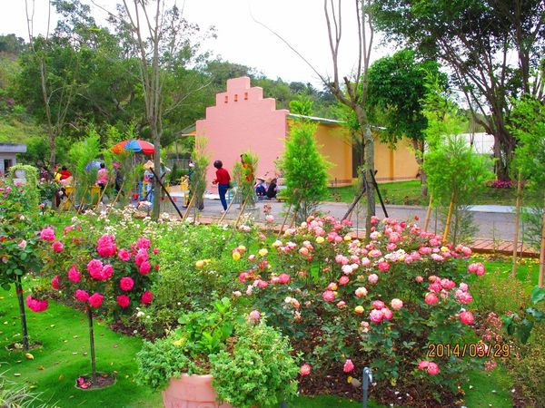 IMG_7256 (1024x768).jpg