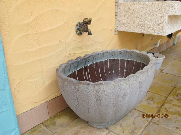 IMG_7286 (1024x768).jpg