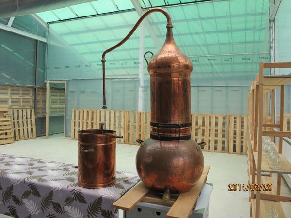 IMG_7283 (1024x768).jpg