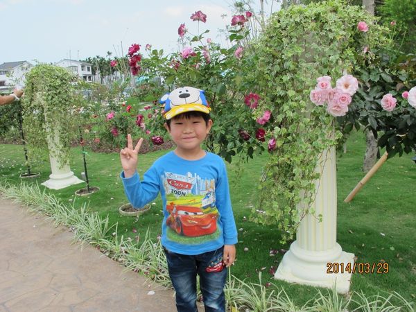 IMG_7251 (1024x768).jpg