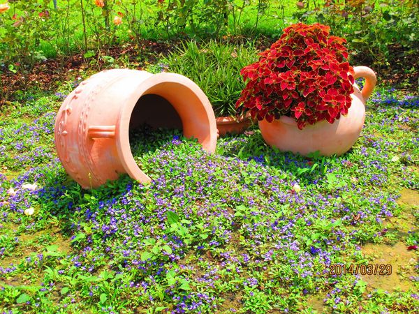 IMG_7272 (1024x768).jpg