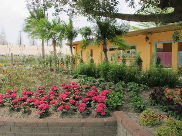 IMG_7279 (1024x768).jpg