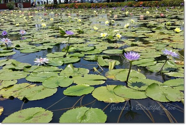 20150614_104152 20150614_104152