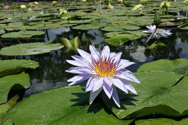 20150614_104346 20150614_104346