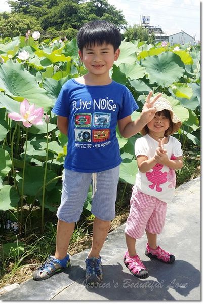 20150614_105115 20150614_105115