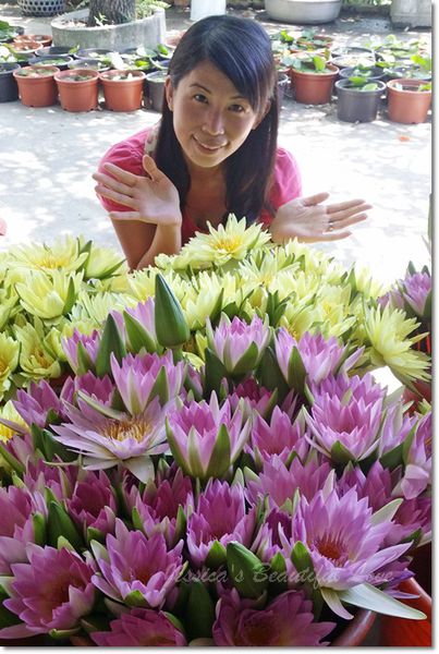 20150614_110048 20150614_110048