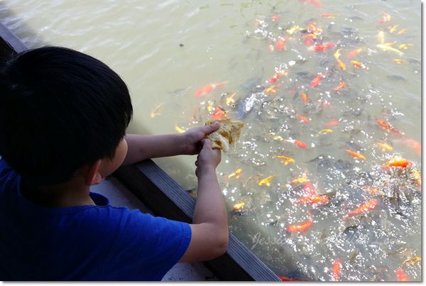 20150614_110316 20150614_110316