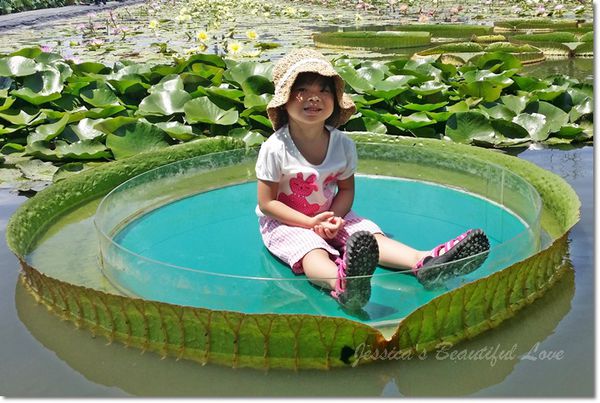 20150614_104844 20150614_104844