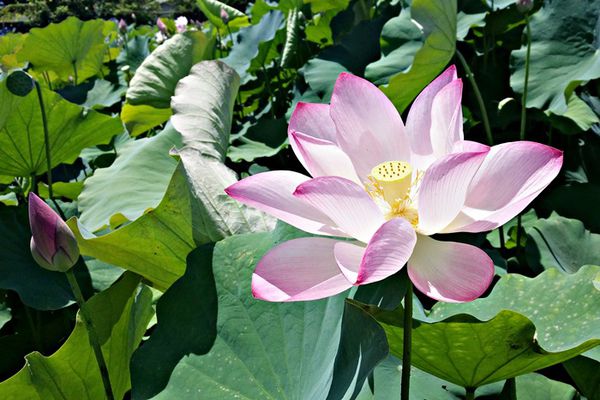 20150614_103950 20150614_103950