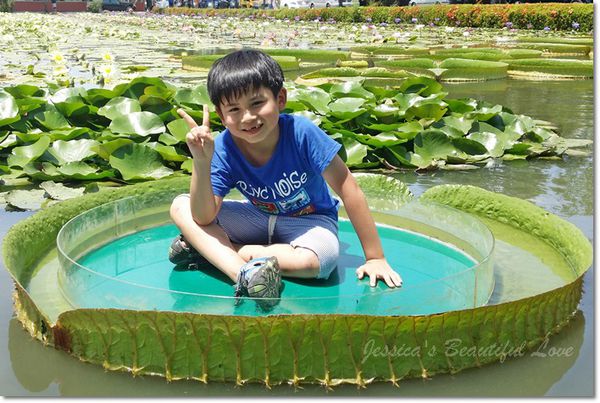 20150614_104648 20150614_104648