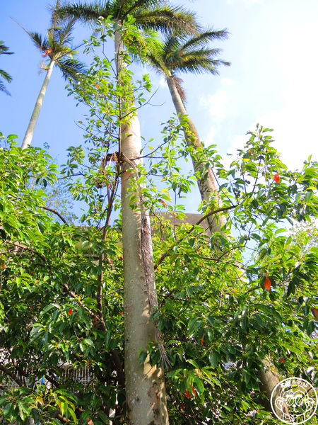 中山國小：作伙來企投【宜蘭･中山國小】四座溜滑梯讓小朋友玩瘋了