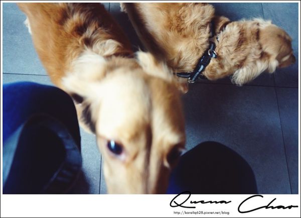 西門 早午餐 sunny cafe 工業風