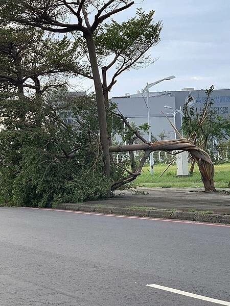 高雄夢時代陶板屋晚餐~
