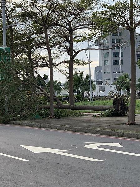高雄夢時代陶板屋晚餐~
