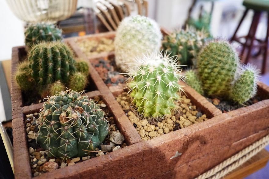 P2100621.jpg P2100621.jpg