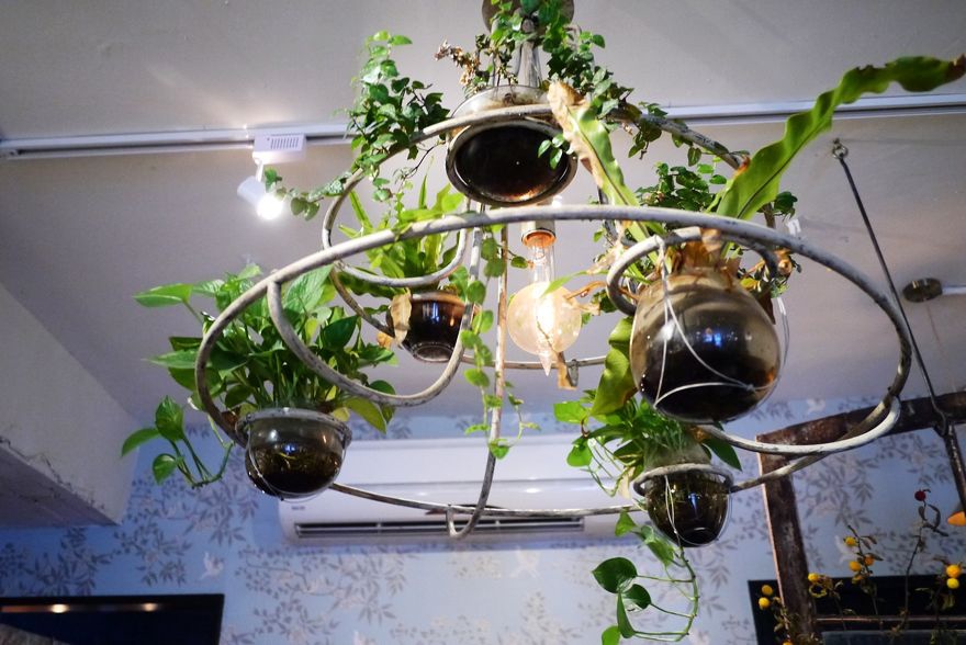 P2100626.jpg P2100626.jpg