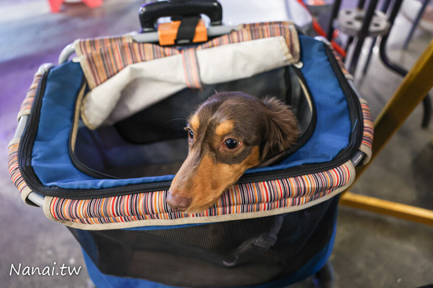 熱炒百元起！小朋友免費撈魚體驗、幼童遊戲區、台中看夜景都來這家那兩蚵烤鮮蚵，免費停車場、用餐無限時