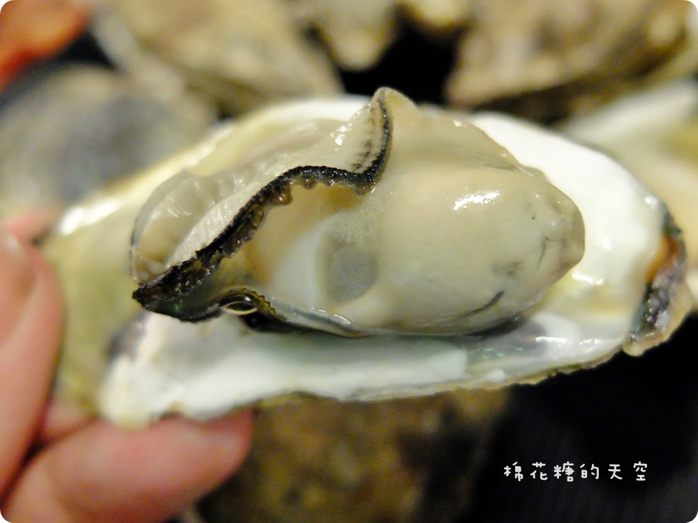 DSCF0322-1 DSCF0322-1