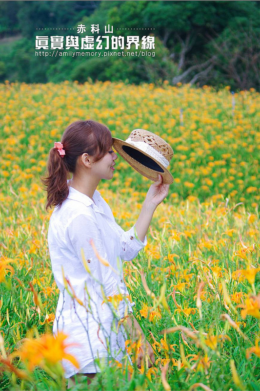 【花蓮景點】開啟奇幻寶盒，進入童話異想世界-鳥踏石購物廣場(向日廣場/花蓮觀光漁港)