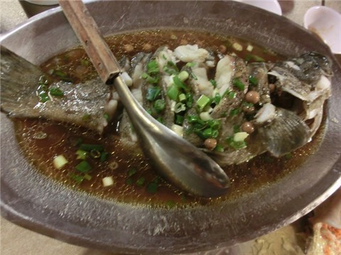 石斑魚 - 淡水區的淡水海風餐廳) 石斑魚 - 淡水區的淡水海風餐廳)