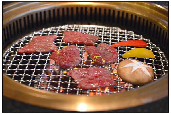 DSC_3396.JPG DSC_3396.JPG