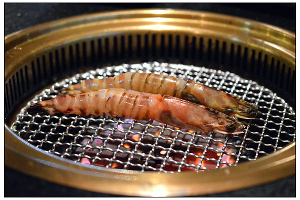 DSC_3568.JPG DSC_3568.JPG