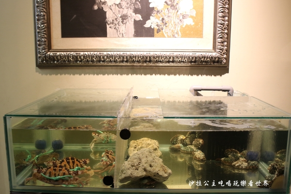 鍋之舞頂級麻辣鴛鴦鍋(林口店)：桃園龜山麻辣鍋/火鍋『鍋之舞頂級麻辣鴛鴦鍋-林口店』現烤鳥蛋/鍋底鴨血.豆腐吃到飽