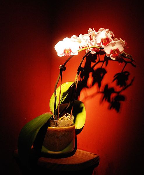 DSC_5428.jpg DSC_5428.jpg