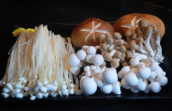 DSC_5531.jpg DSC_5531.jpg