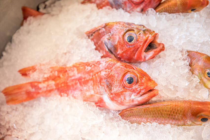 屏東縣恆春鎮後壁湖阿興生魚片｜半買半相送！40片厚切生魚片竟然只要200元