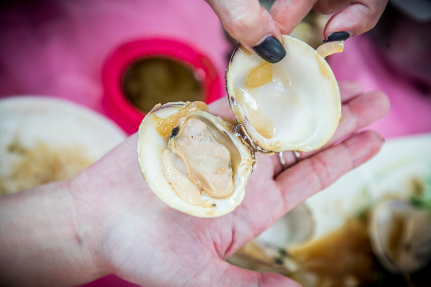 屏東縣恆春鎮後壁湖阿興生魚片｜半買半相送！40片厚切生魚片竟然只要200元