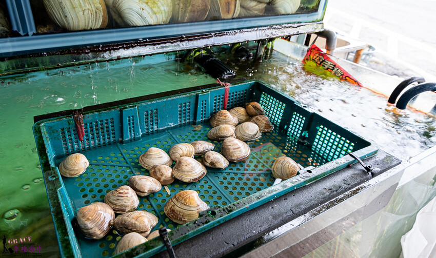 阿興生魚片｜恆春鎮屏東縣–後壁湖海鮮美食推薦，平價新鮮的超人氣餐廳