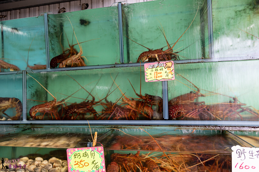 阿興生魚片｜恆春鎮屏東縣–後壁湖海鮮美食推薦，平價新鮮的超人氣餐廳