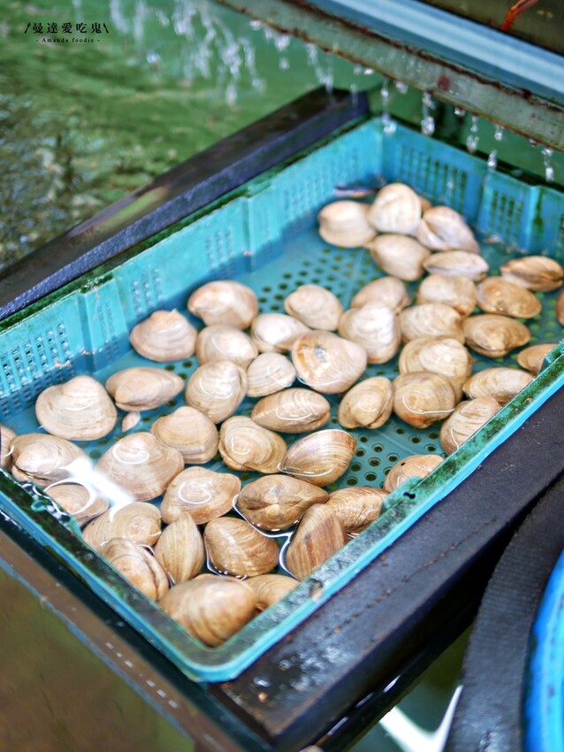 CP值爆表!後壁湖生魚片$5不吃怎麼行『阿興生魚片專賣店』新鮮海產、野生龍蝦滋味太銷魂!恆春美食推薦|屏東美食推薦 - 曼達愛吃鬼