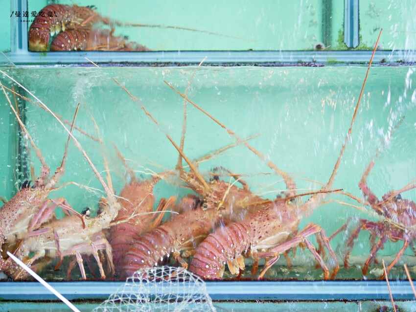 CP值爆表!後壁湖生魚片$5不吃怎麼行『阿興生魚片專賣店』新鮮海產、野生龍蝦滋味太銷魂!恆春美食推薦|屏東美食推薦 - 曼達愛吃鬼