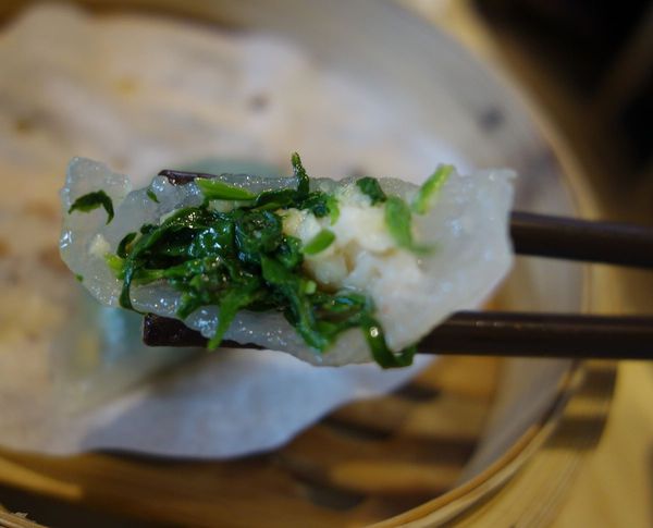 DSC04459.JPG DSC04459.JPG